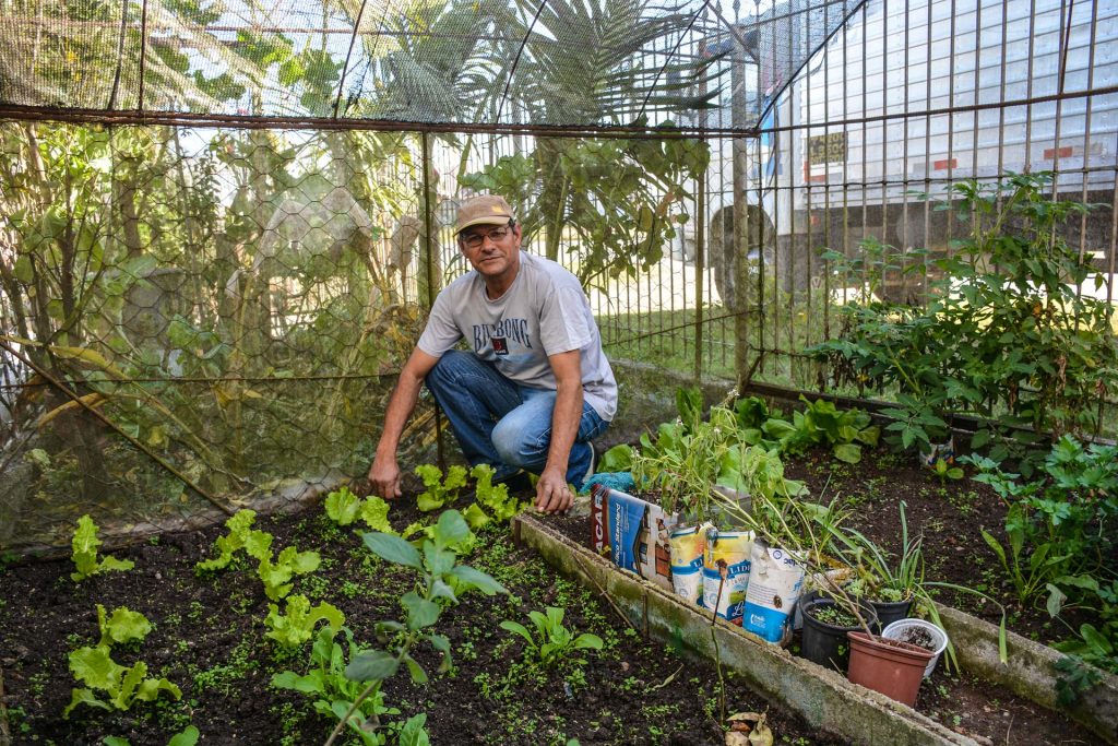 Beneficiários do projeto Horta no Quintal de Casa receberão mudas de hortaliças 1 @Entrega Mudas