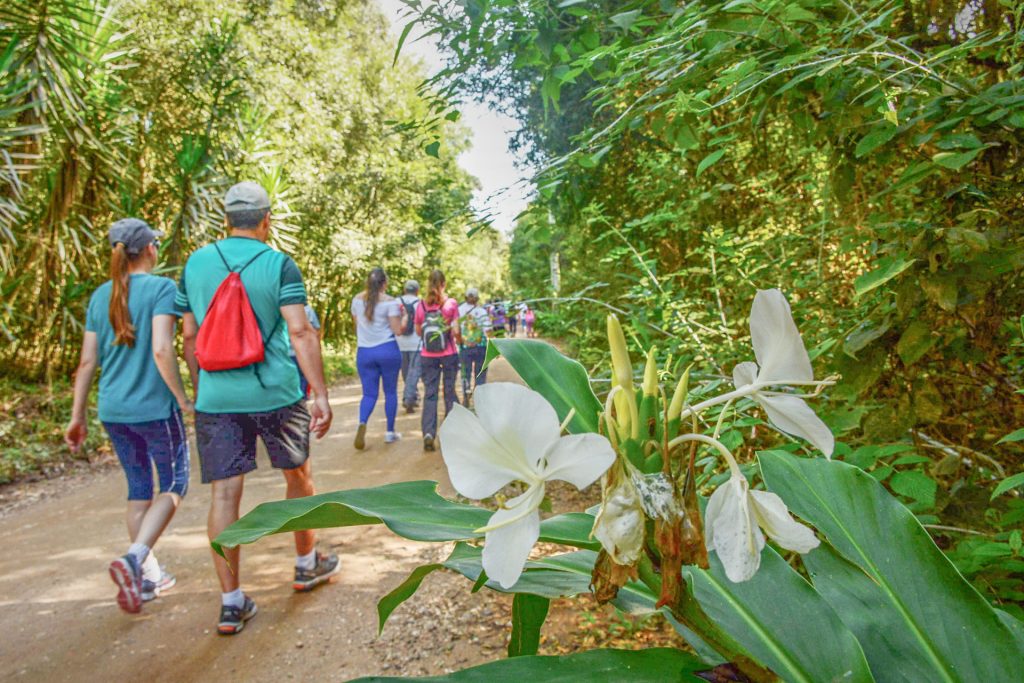 Neste domingo tem Caminhada Internacional na Natureza em Pinhais 1 @caminhada