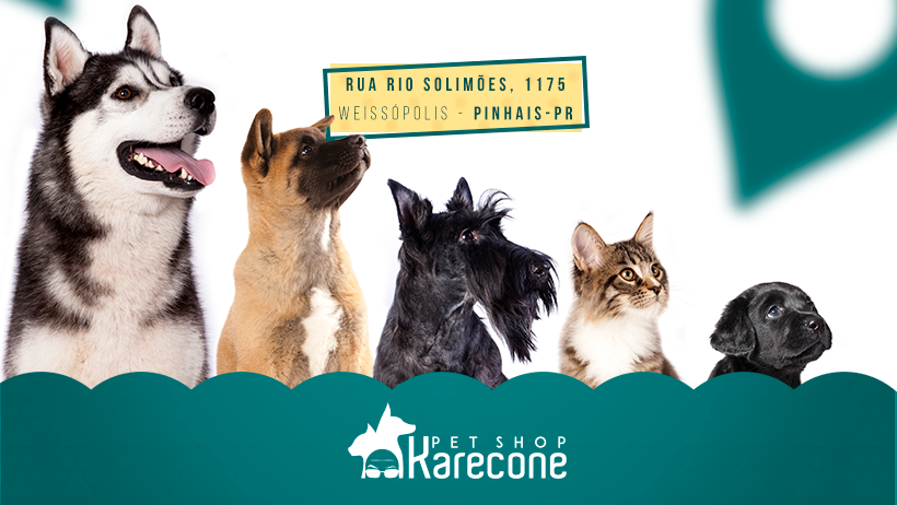 karecone pet shop capa
