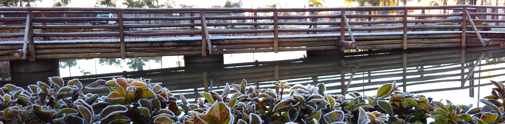 Quem somos 1 bosque municipap de pinhais frio