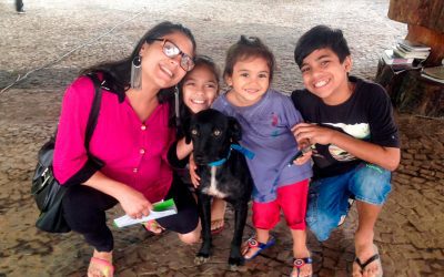 Neste sábado tem Feira de Adoção de Animais em Pinhais