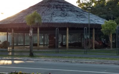 Previsão de frio e geada final de semana em Pinhais