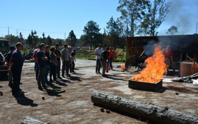 Corpo de Bombeiros e Defesa Civil Pinhais formam turma de brigadistas