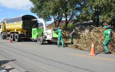 Coleta de Resíduos Verdes é otimizada com novo triturador