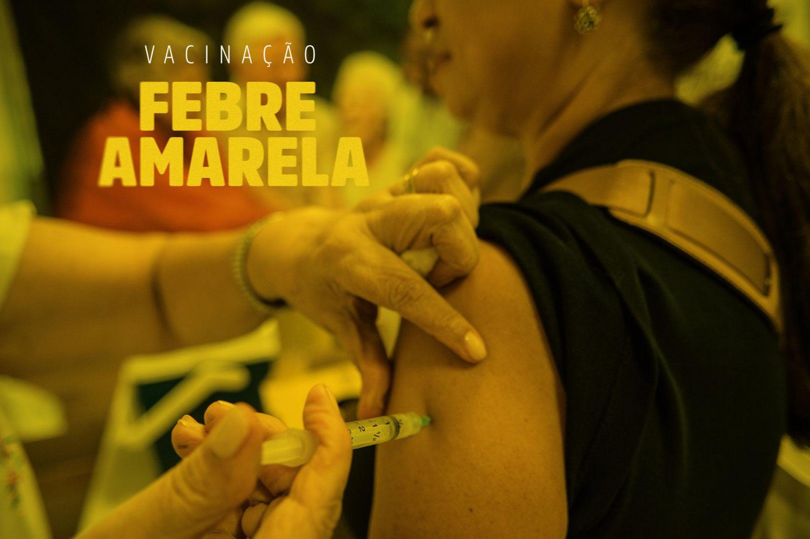 Vacinação Febre Amarela Pinhais