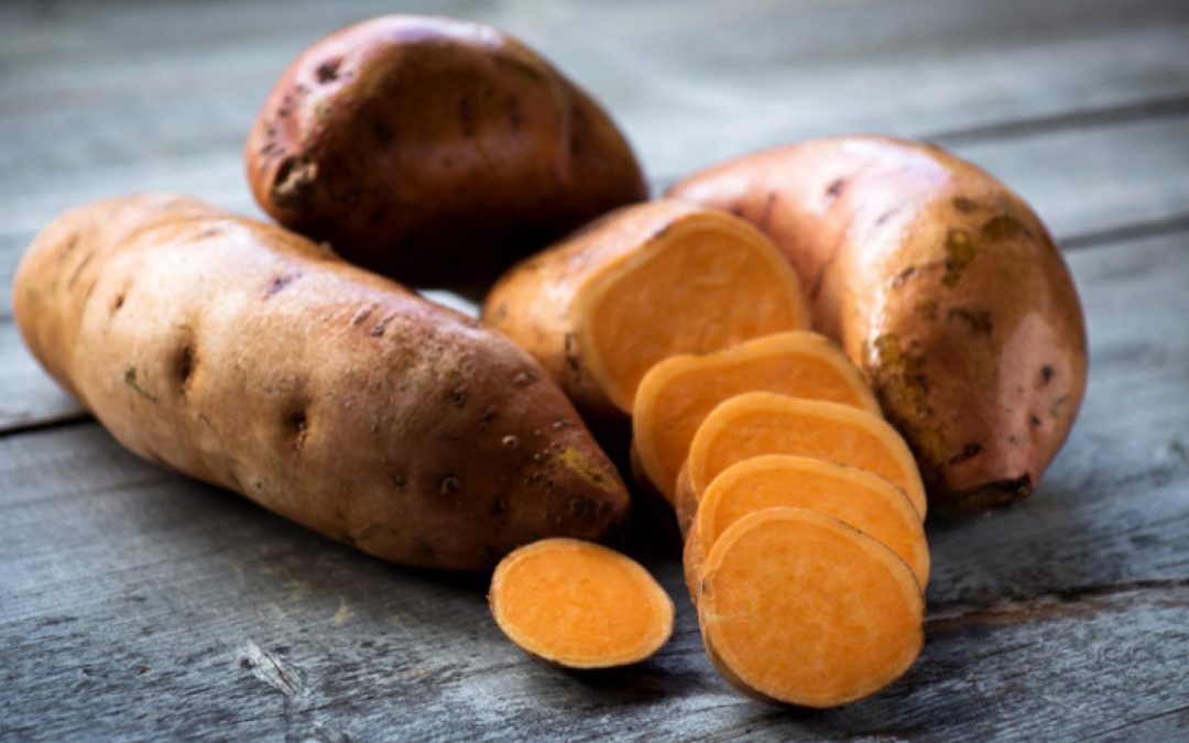 Conheça os benefícios da Batata Doce