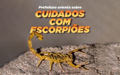 Prefeitura de Pinhais orienta população sobre cuidados com escorpiões