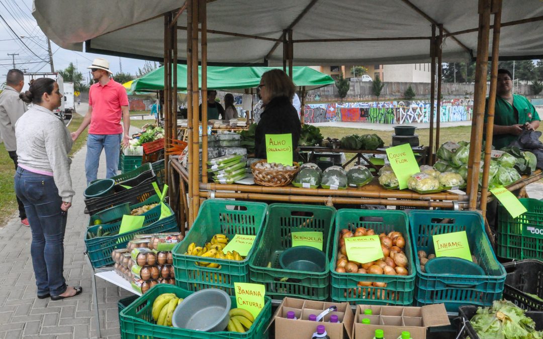 Feira Livre vai comercializar frutas, verduras e legumes a preço único de R$2,29 o quilo