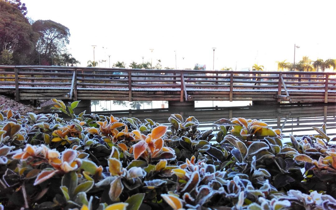 A friaca está chegando em Pinhais