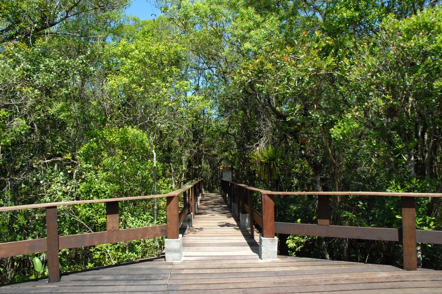 Parque Estadual Rio da Onca