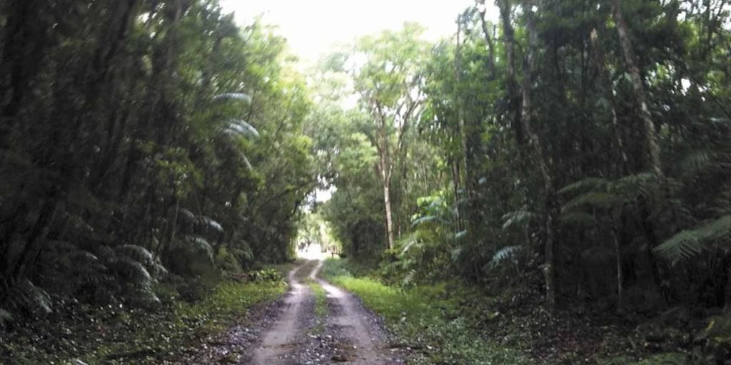 parque estadual do palmito