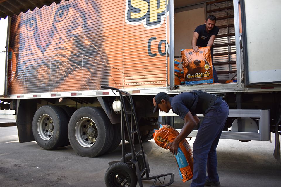 banco-de-racao-pinhais