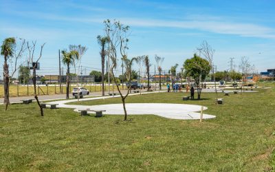 Novo parque de Pinhais terá espaço exclusivo para cães.