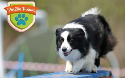 ParCão Pinhais será inaugurado em dezembro