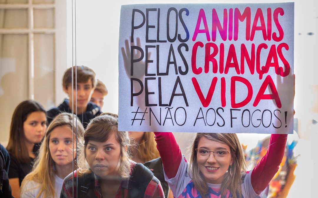 Proibição a fogos de alto impacto e de tiro aprovada em 1º turno em Curitiba