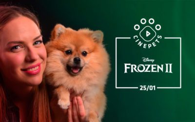 Primeira sessão de cinema pet friendly de 2020 acontece neste sábado em Curitiba