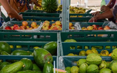 Conheça as Feiras Livres de Pinhais