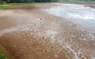 Rodízio da Sanepar fica mais severo a partir de sexta em Curitiba.