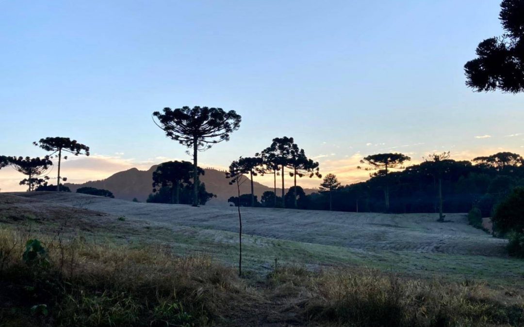 Paraná tem cinco alertas de fenômenos no tempo: Temporal, vendaval e queda de temperatura