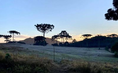 Nova frente fria deve atingir Pinhais em agosto com temperaturas de 2ºC