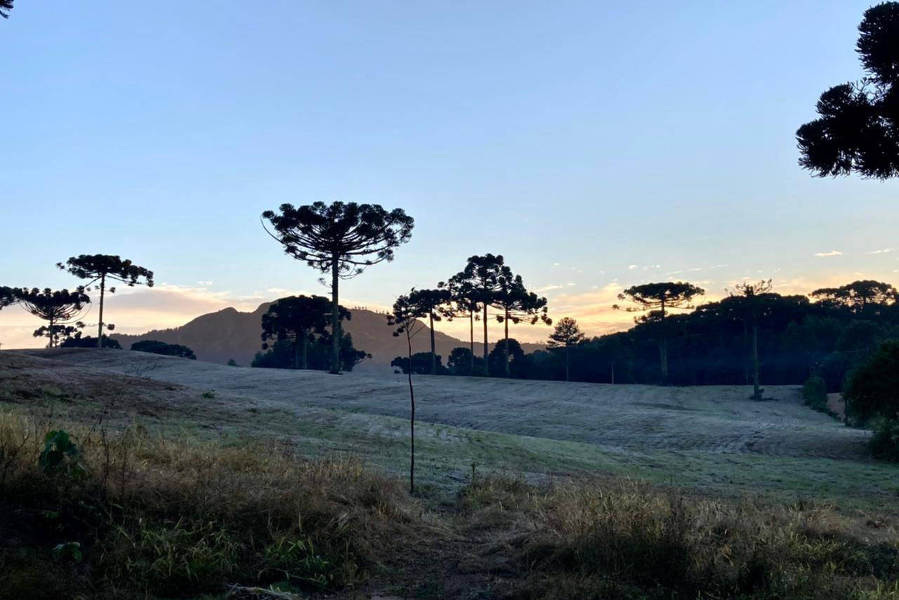 frio-pinhais