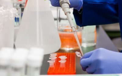 Pinhais participará de estudo que quer mapear a infecção pelo Coronavírus no Brasil