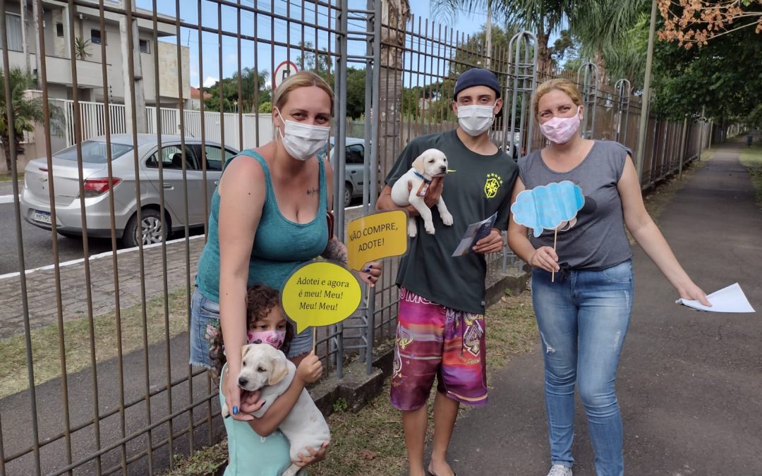 Adoção responsável: mais de 90 animais ganharam um novo lar em Pinhais em 2021