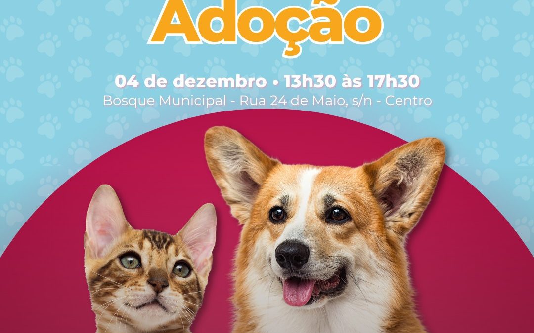 No sábado (4) tem evento de adoção de cães e gatos em Pinhais