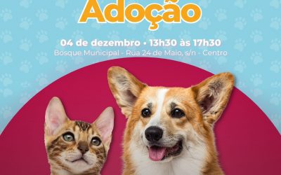 No sábado (4) tem evento de adoção de cães e gatos em Pinhais