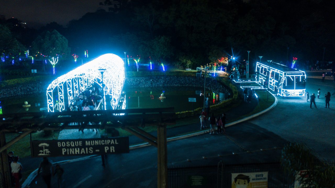 bosque-de-pinhais-iluminado