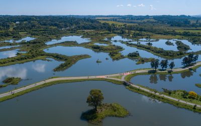 Pinhais comemora 30 anos de transformações e desenvolvimento