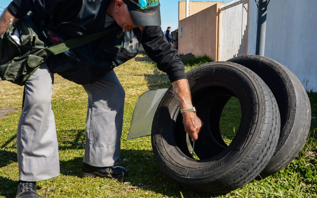 Pinhais identifica 1º caso de dengue transmitido no município