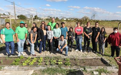 IFPR promove ação educativa em alusão a Semana Nacional de Compostagem