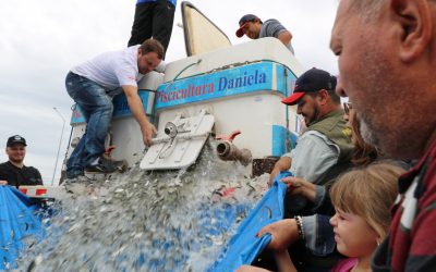 Parque das Águas recebeu 150 mil peixes do Projeto Rio Vivo