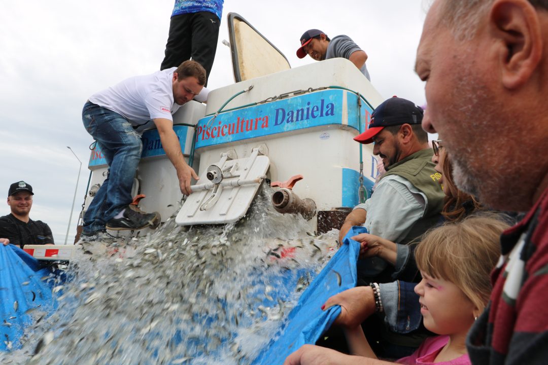 peixes-parque-das-aguas