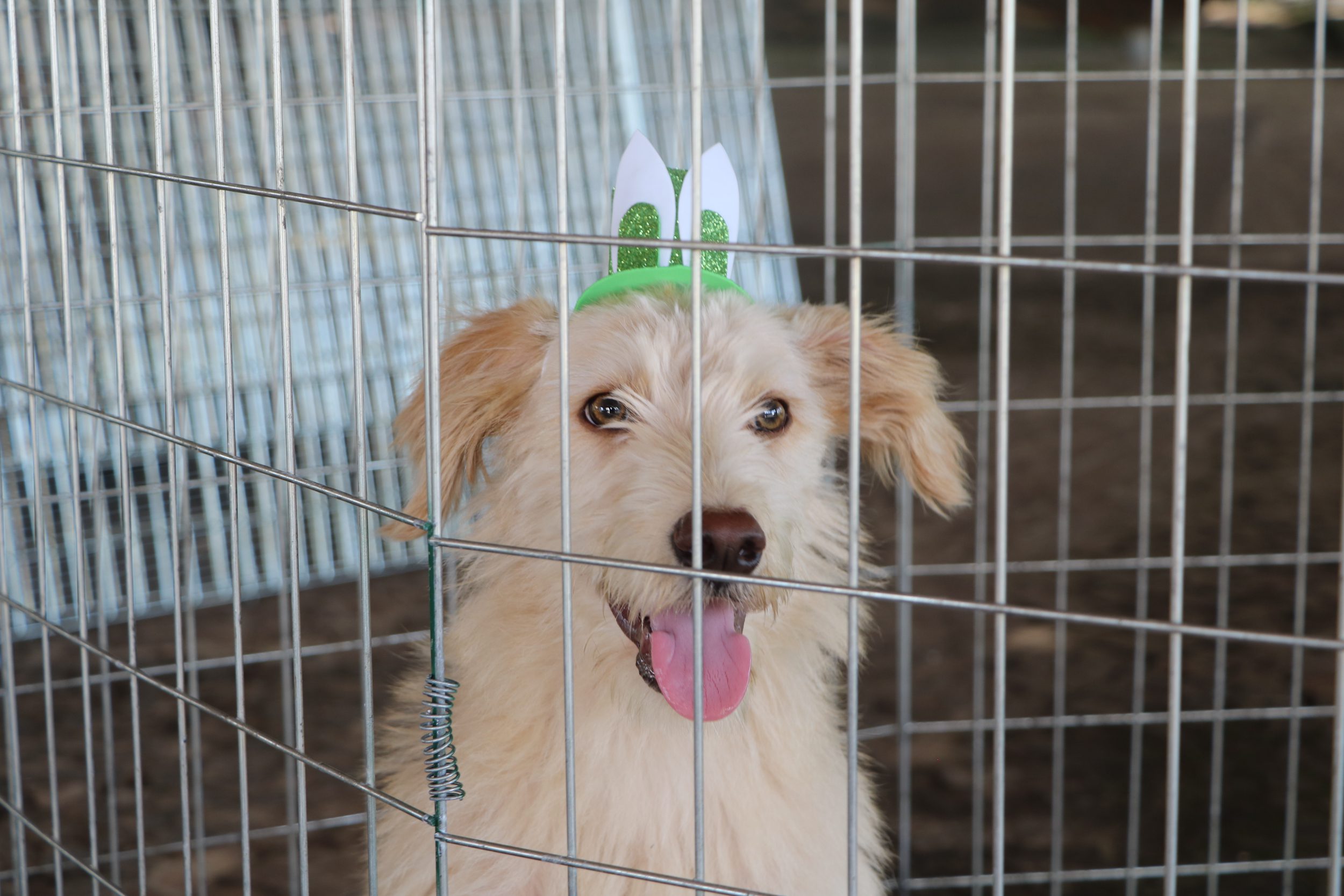 img_E6304EF2DCDD8786075F2F0D3A42460C5A451B83