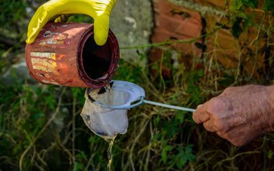 Prefeitura de Pinhais atua em diversas modalidades para a prevenção e controle da dengue