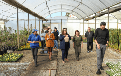 Horto Municipal de Pinhais recebe Conselho de Meio Ambiente para apresentação de novos projetos