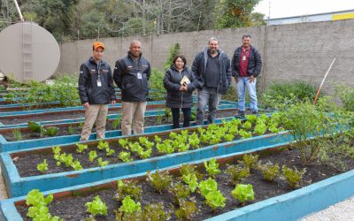 Secretaria de Desenvolvimento Econômico inicia o atendimento aos inscritos no Programa de Horta Comunitária