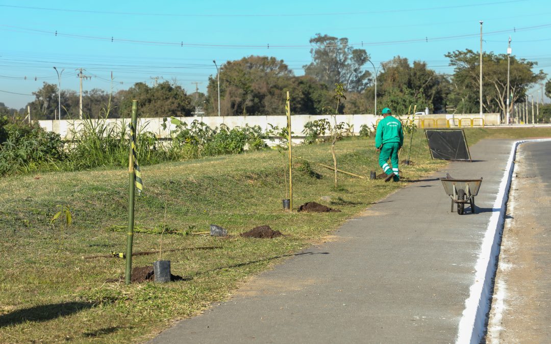 Secretaria de Meio Ambiente planta 300 mudas de árvores nas margens do Rio Iraí
