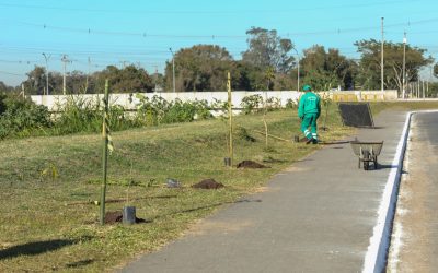Secretaria de Meio Ambiente planta 300 mudas de árvores nas margens do Rio Iraí
