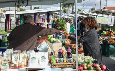 Sábado tem mais uma Feira Agroecológica em Pinhais