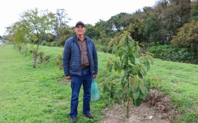 Aposentado cria pomar em Parque Linear do município