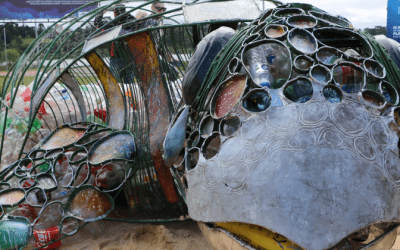 Projeto Tartaruga Pet Socorro reforça a importância do descarte correto dos materiais recicláveis