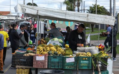Feira Agroecológica passa a ser realizada toda quinta-feira em Pinhais
