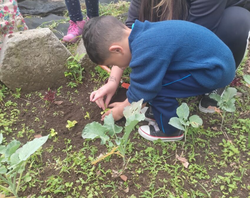 Atividade de campo leva crianças do Cmei Vó Charlote ao Colégio Estadual Paulo Leminski