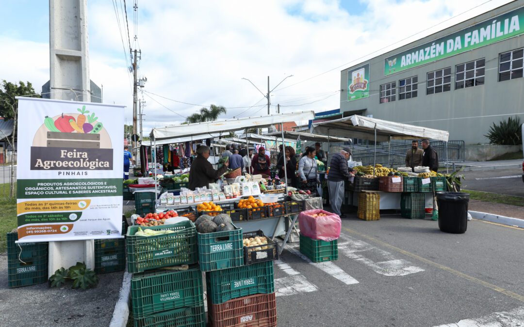 Acontece nesta quinta-feira (10) mais uma Feira Agroecológica