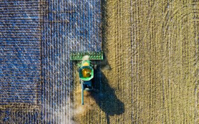 6 dicas para fazer uma boa gestão do agronegócio