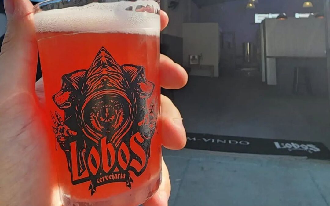 Pinhais: Rota da Cerveja recebe a Cervejaria Lobos e seus sabores exóticos!