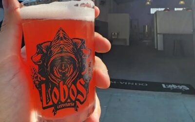 Pinhais: Rota da Cerveja recebe a Cervejaria Lobos e seus sabores exóticos!
